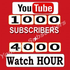 1000 Subscribers + 40000  Watch Hours - Youtube Channel Monetization Service
