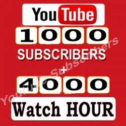 1000 Subscribers + 40000  Watch Hours - Youtube Channel Monetization Service
